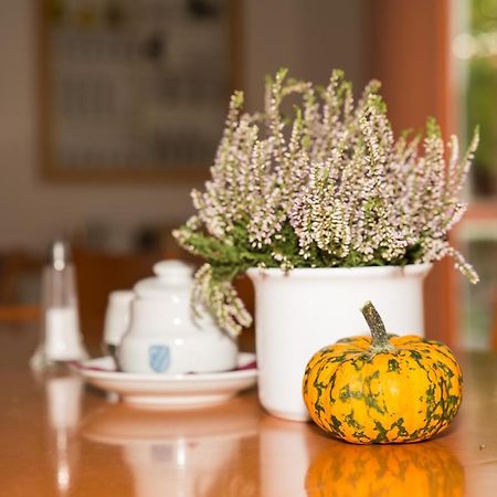 Gastehaus Olympia Reitanlage Munchen-Riem Bed and Breakfast Esterno foto