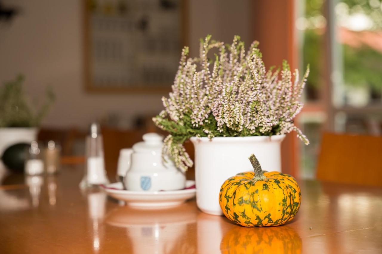 Gastehaus Olympia Reitanlage Munchen-Riem Bed and Breakfast Esterno foto